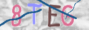 Kontrolní text