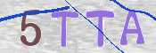 Kontrolní text