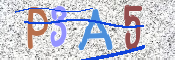 Kontrolní text